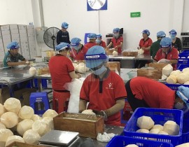 Opening the US market to Vietnamese coconut products