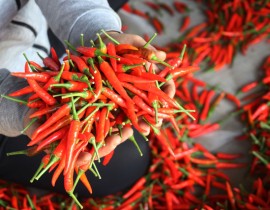 South Korea and Taiwan are stepping up inspections of chili peppers imported from Vietnam